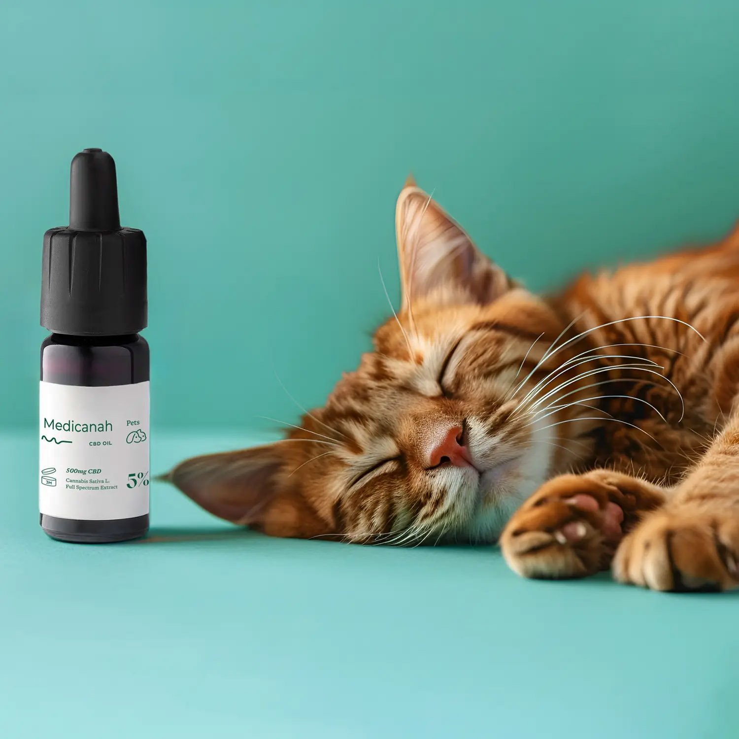 Ulei-cbd-5-animale-pisici-pet Ulei CBD 5% pentru câini și pisici